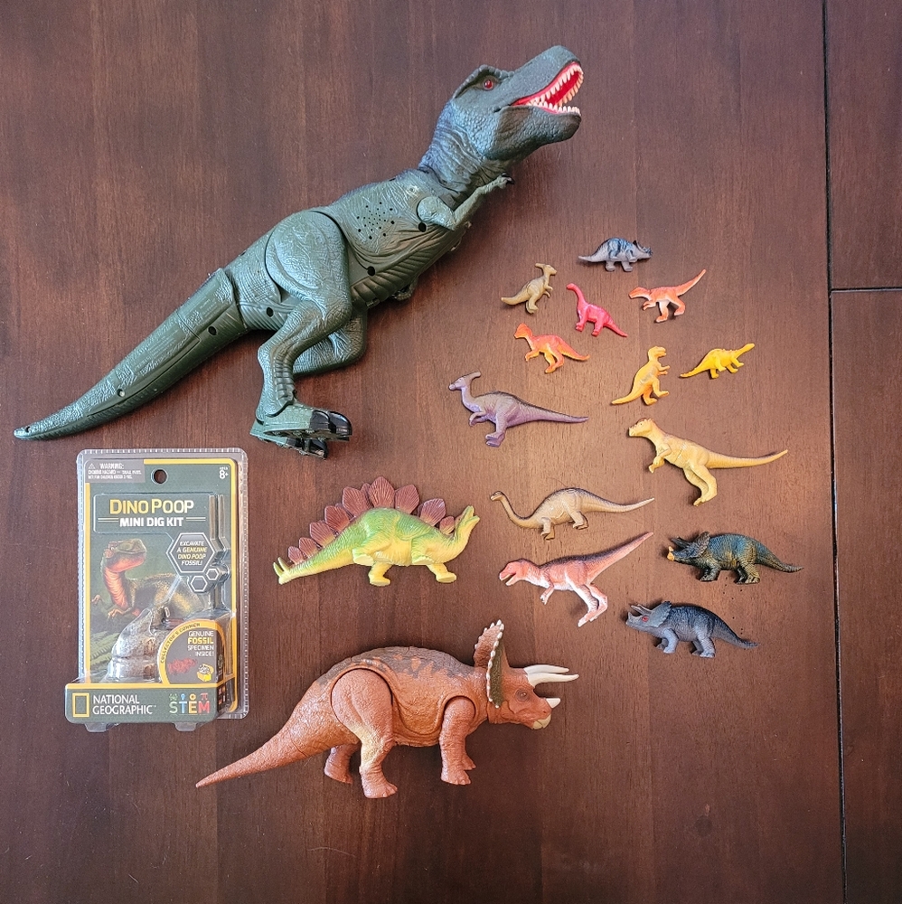 Dinosaur lot Kids Toys